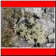 np-haute-route 2003_081.html